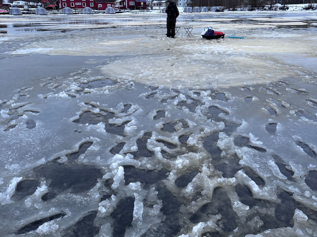 Lupland Adventures-Ranua必去景点
