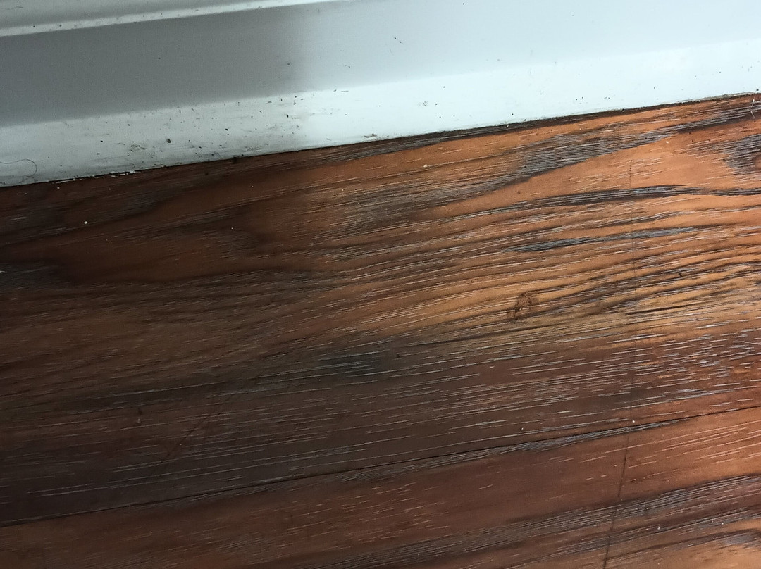 Affordable Suites of America主图