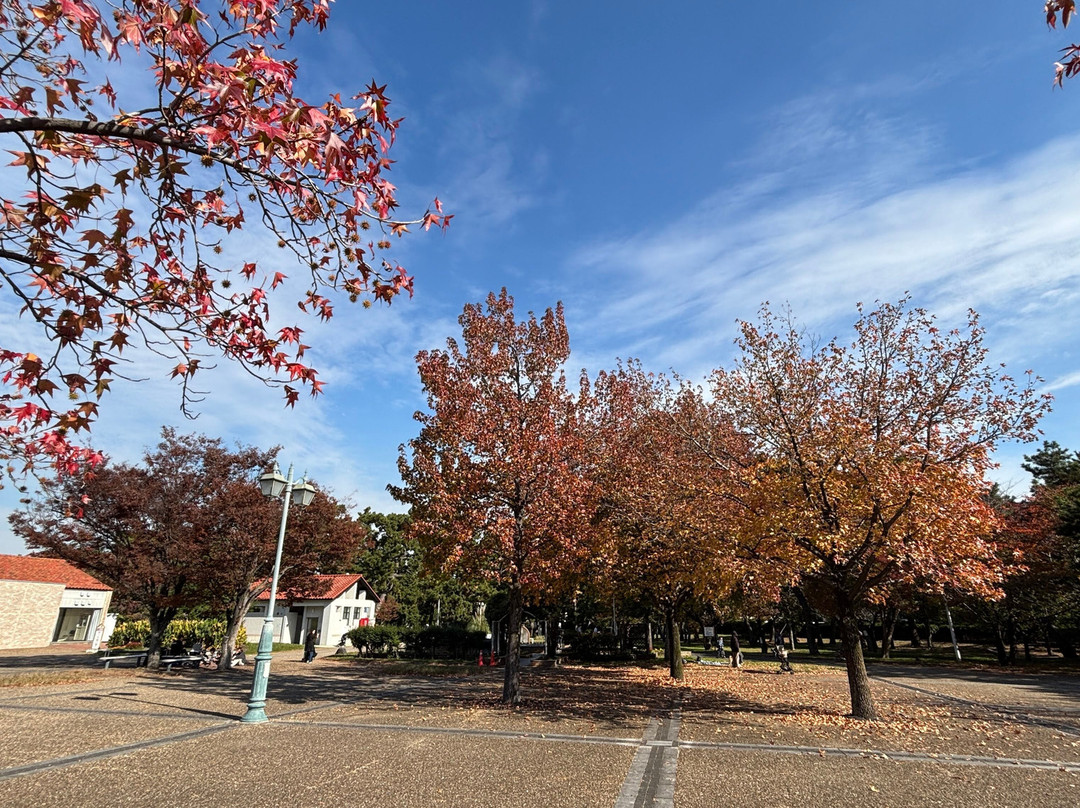 Hamadera Park-坂井市必去景点