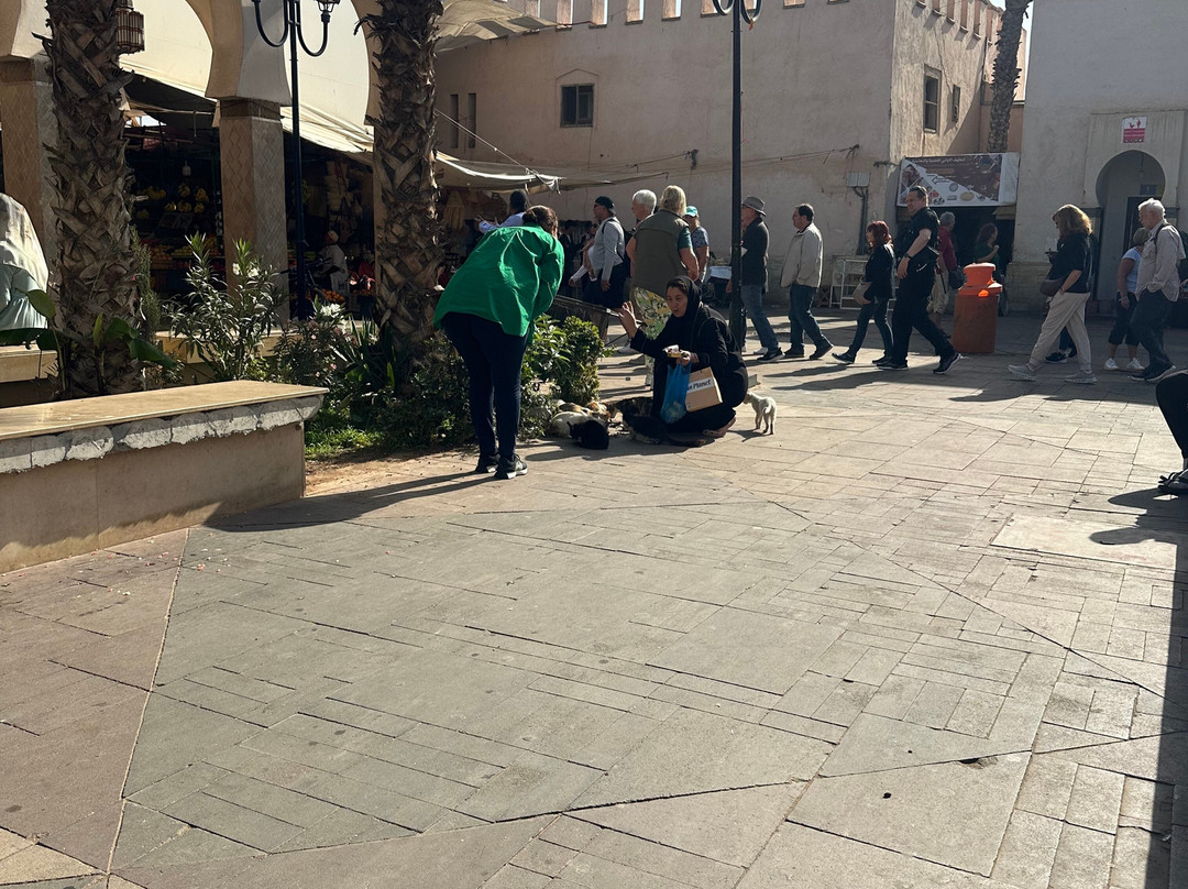 Souk El Had d'Agadir-阿加迪尔必去景点