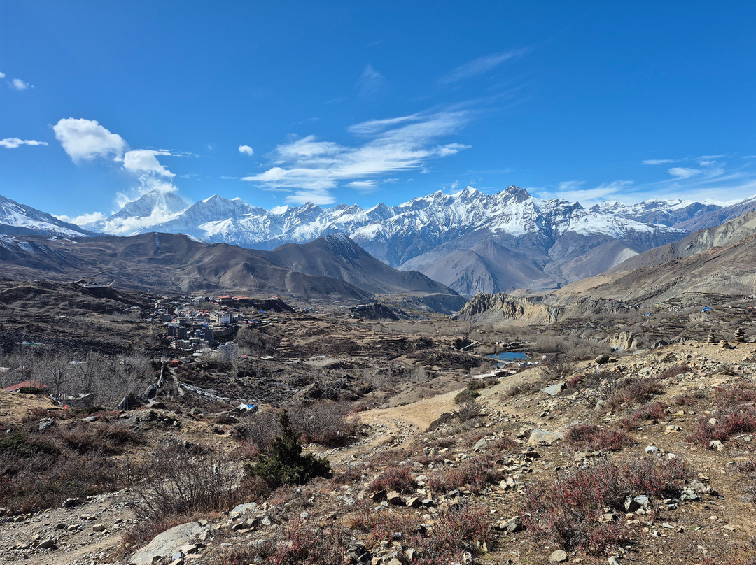 Nepal view treks and expedition pbt.ltd-纳加阔特必去景点