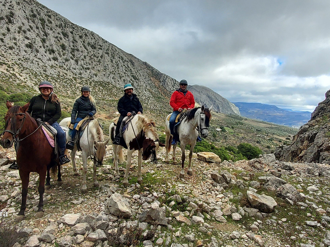 Horse Riding El Chorro-El Chorro必去景点