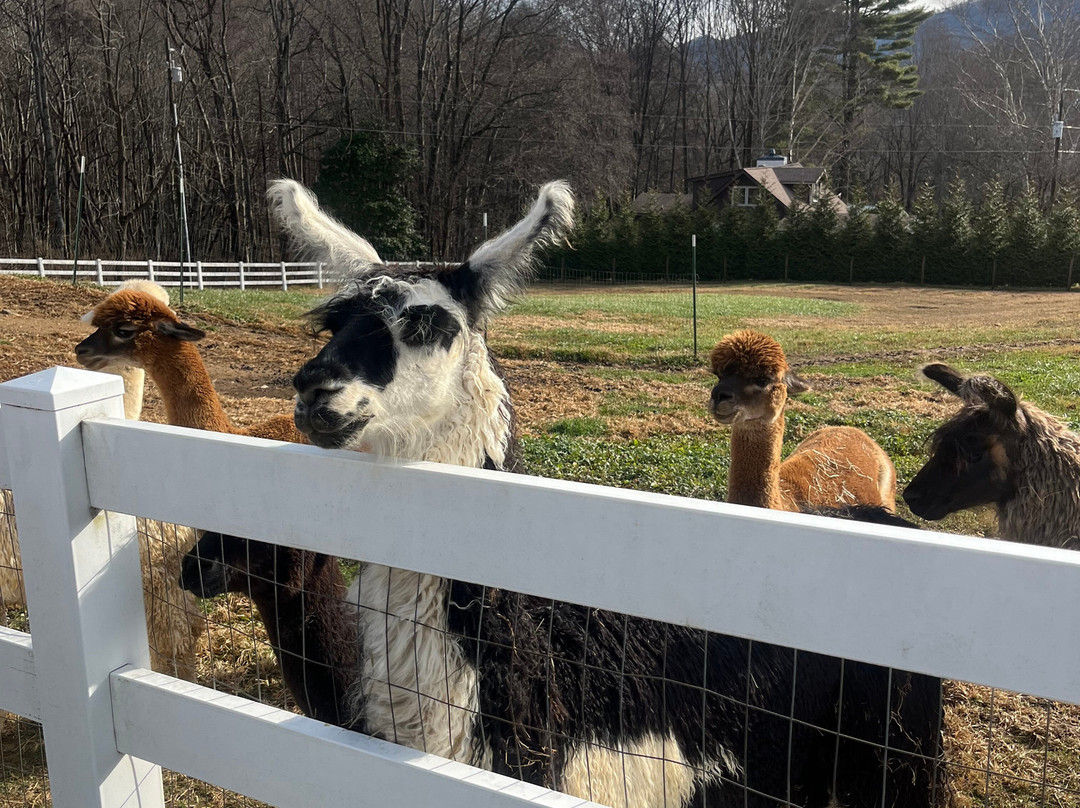 Winchester Creek Farm-韦恩斯维尔必去景点