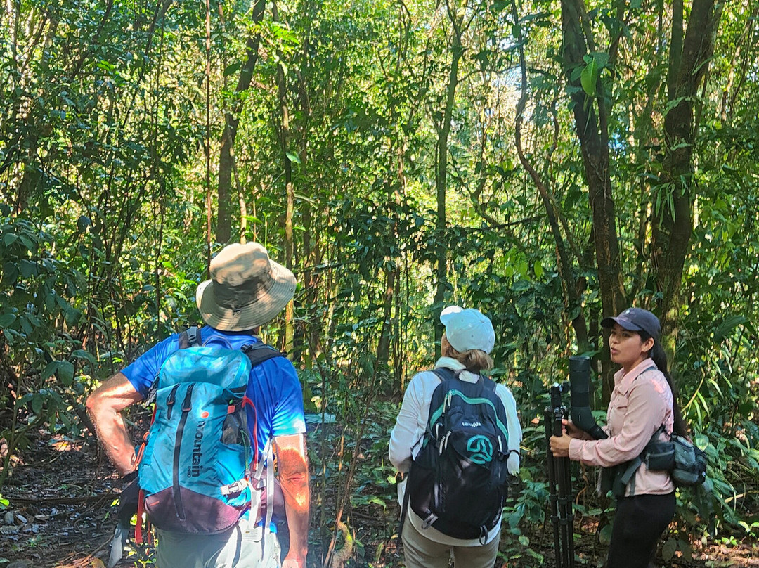 Picolina Tours-德雷克湾必去景点