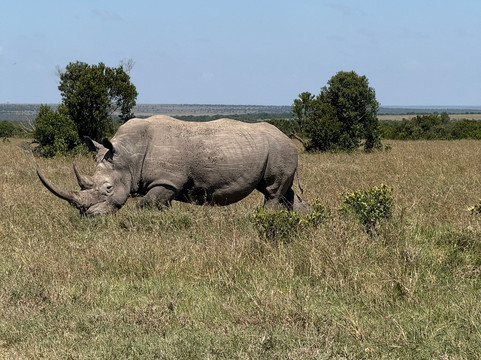 African Savannah Holidays-内罗毕必去景点