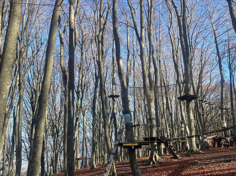 Parco Avventura Camposauro-Vitulano必去景点