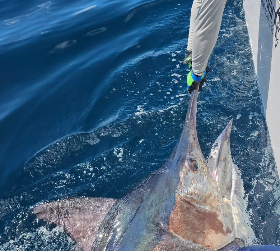 Sport Fish Panama Island Lodge-Boca Chica必去景点