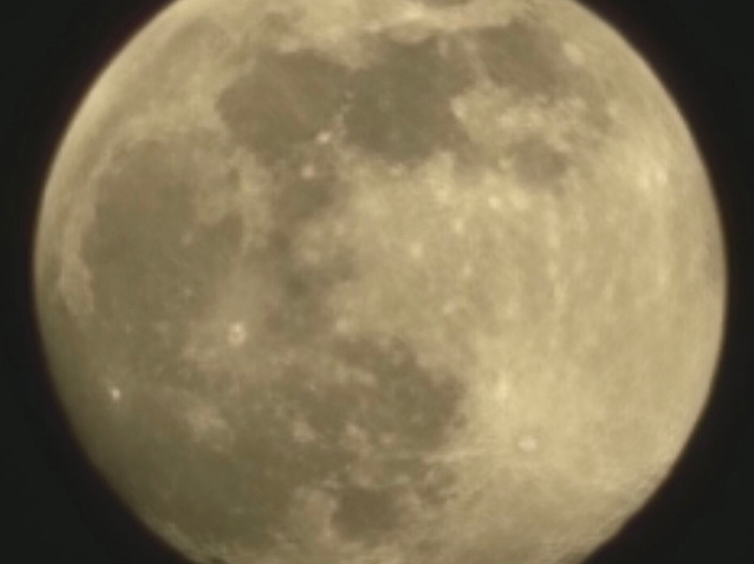 Oscar Scherer State Park-Osprey必去景点