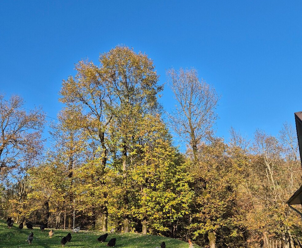 Bibiyani village-Lerik必去景点