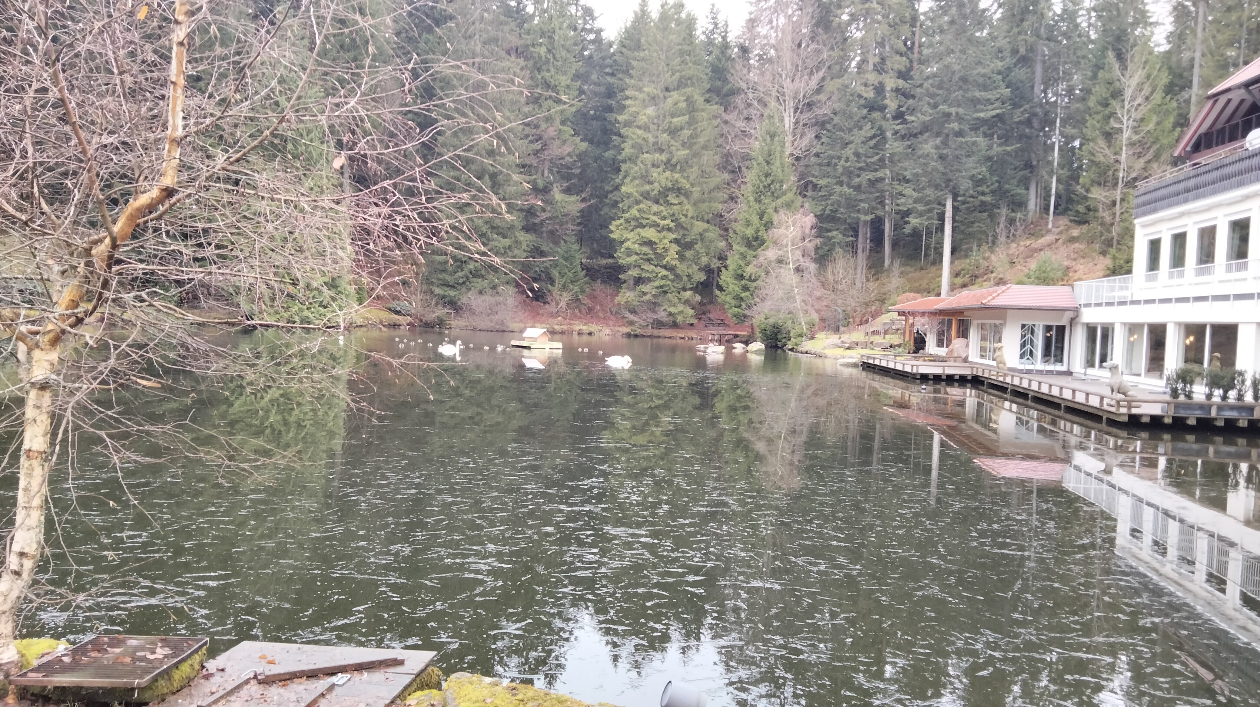 Hotel Langenwaldsee-官方