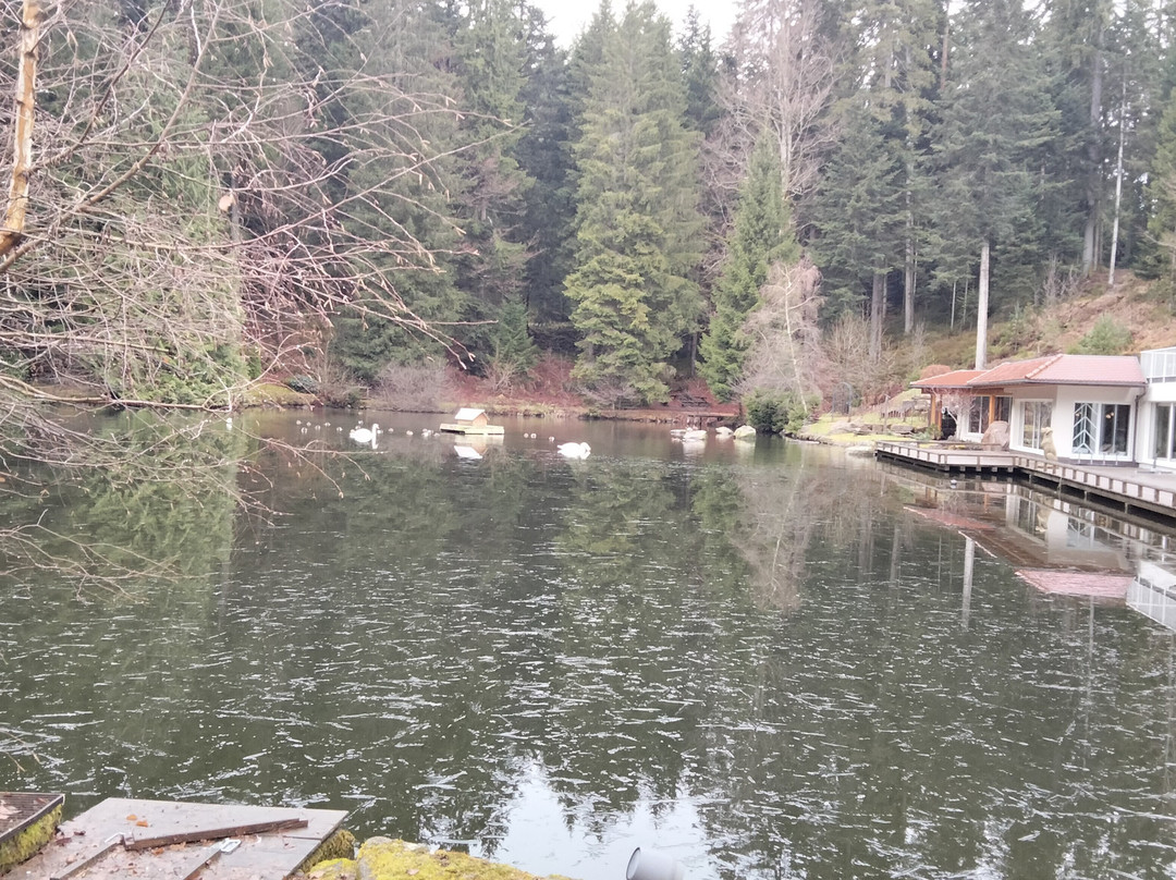 Hotel Langenwaldsee主图