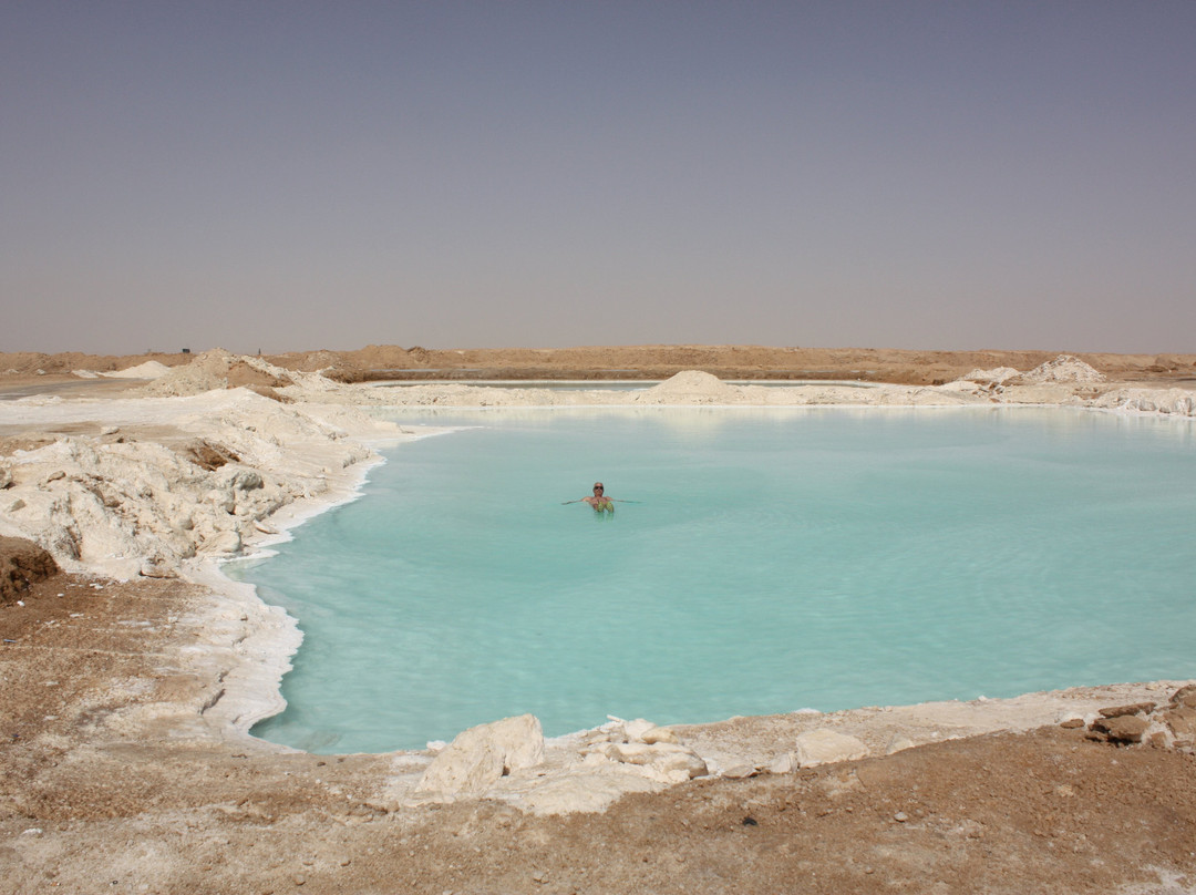 La Toupie Voyageuse-里昂必去景点