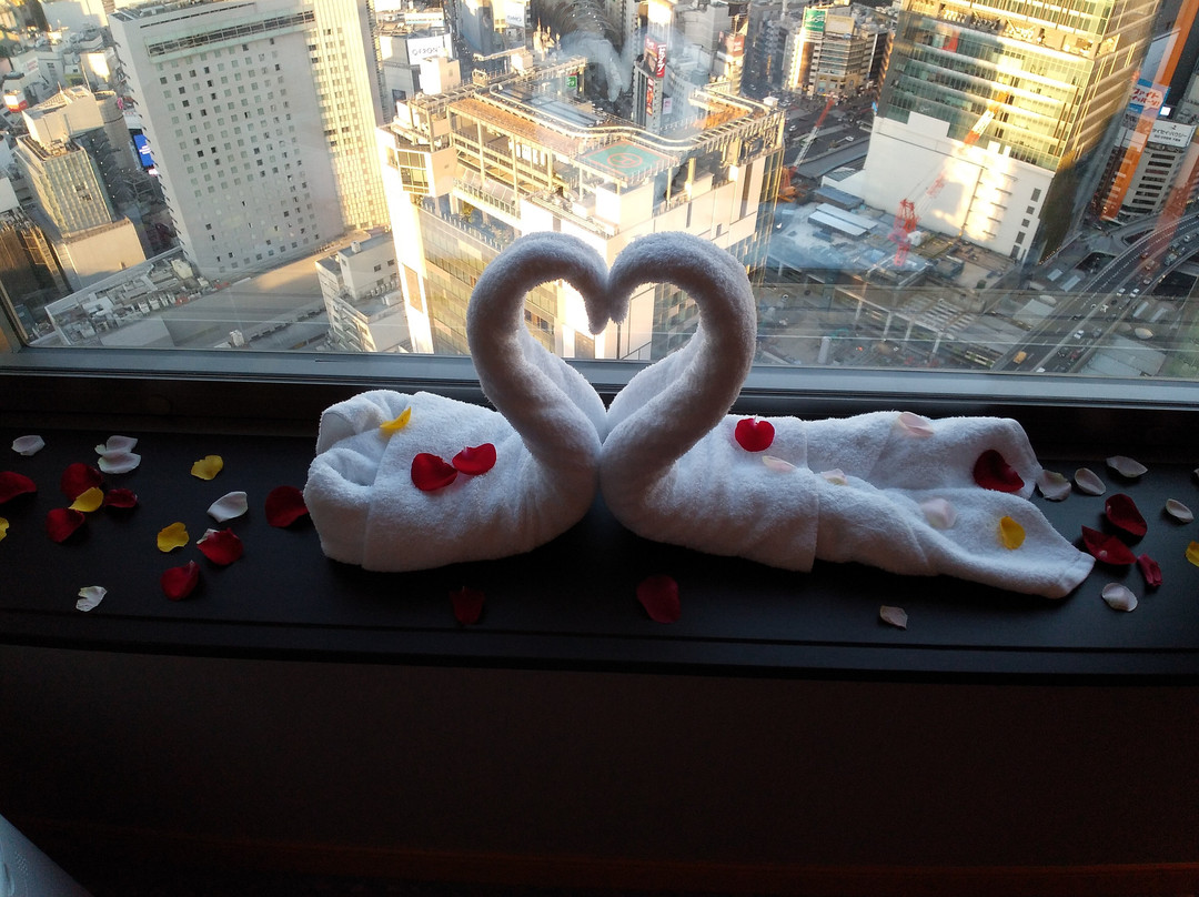 东急蓝塔酒店主图