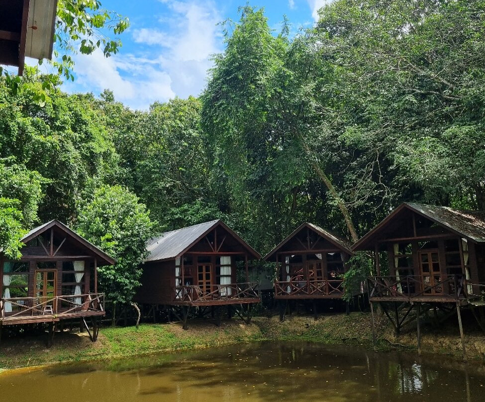 Borneo Calling-亚庇必去景点