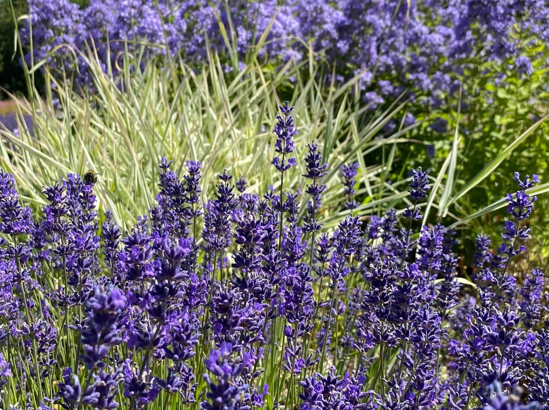 Highnam Court-Highnam必去景点