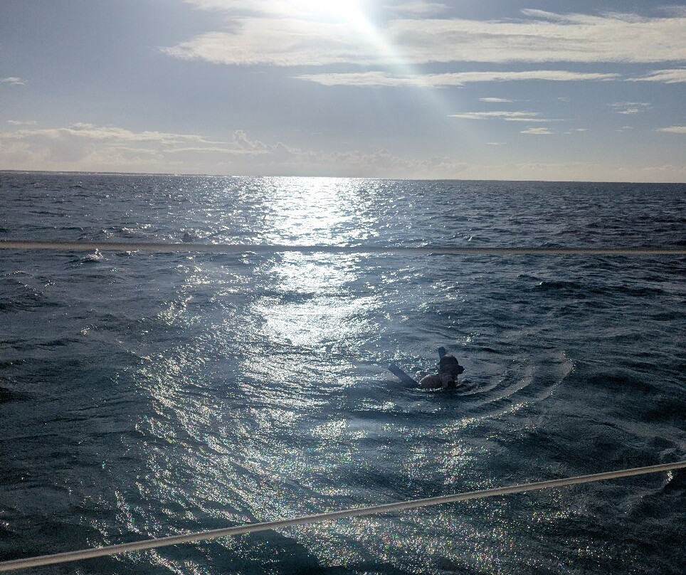 Boat Trips Antigua-圣 约翰必去景点