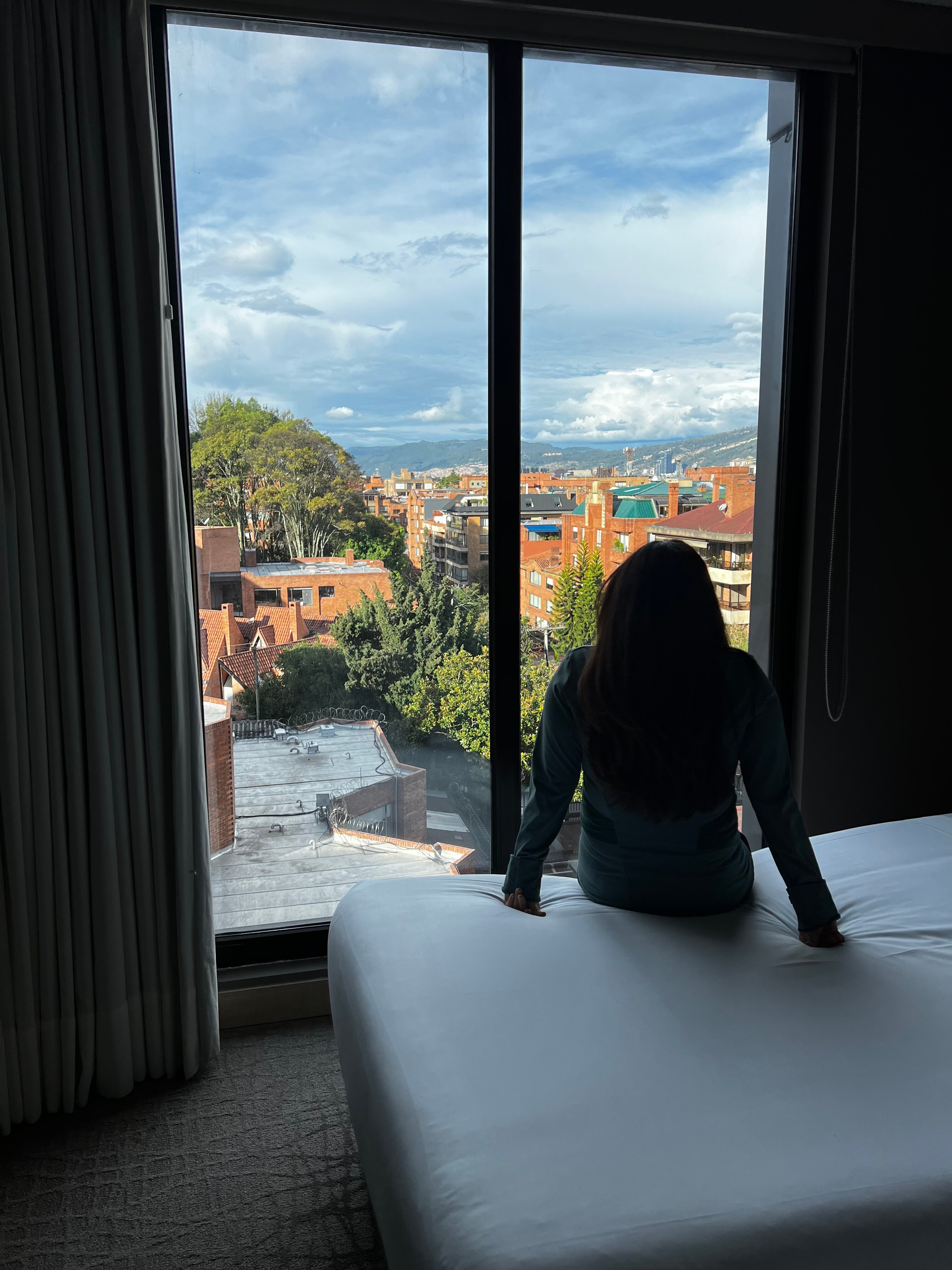 Nh Collection Bogotá Terra 100 Royal-酒店景观