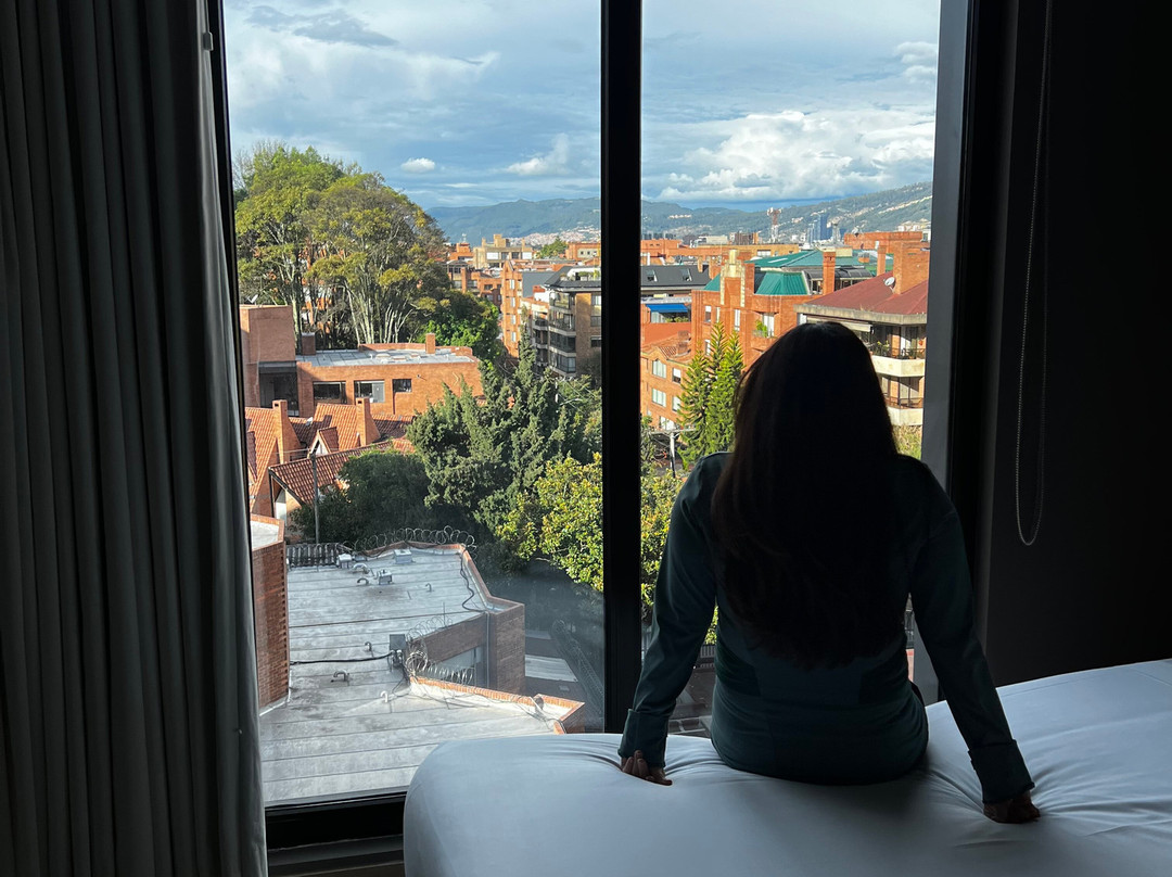 Nh Collection Bogotá Terra 100 Royal主图