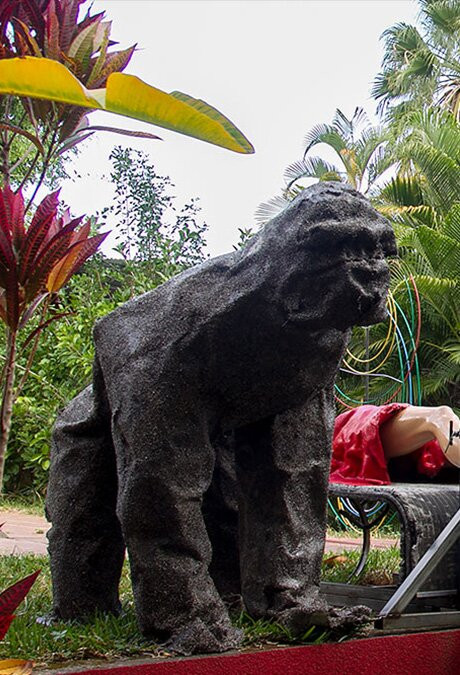 Lieu d'art Contemporain de La Reunion-留尼旺圣皮耶必去景点