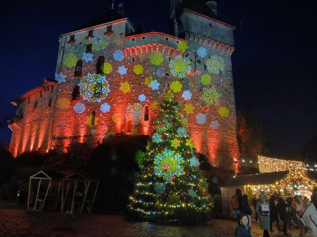 Château De Menthon-saint-bernard-圣贝尔纳必去景点