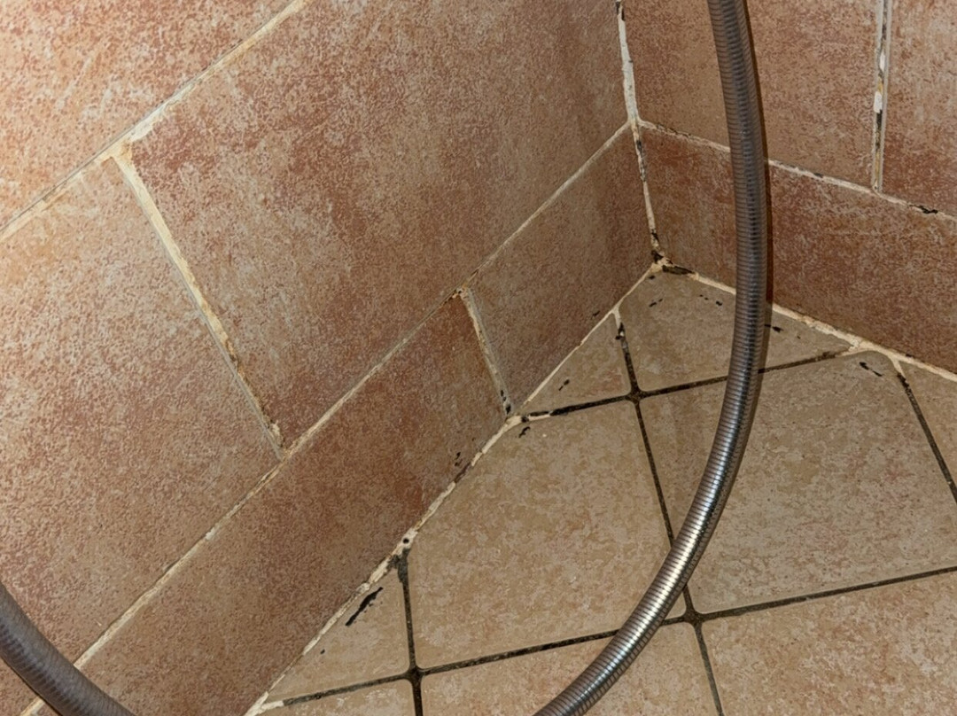 Sangho Zarsis Hotel主图