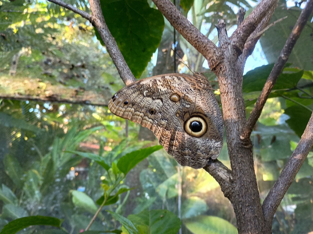 Zoologico de Cali-卡利必去景点