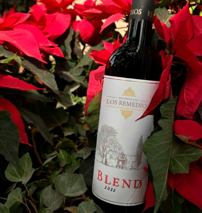 Viñedo Los Remedios