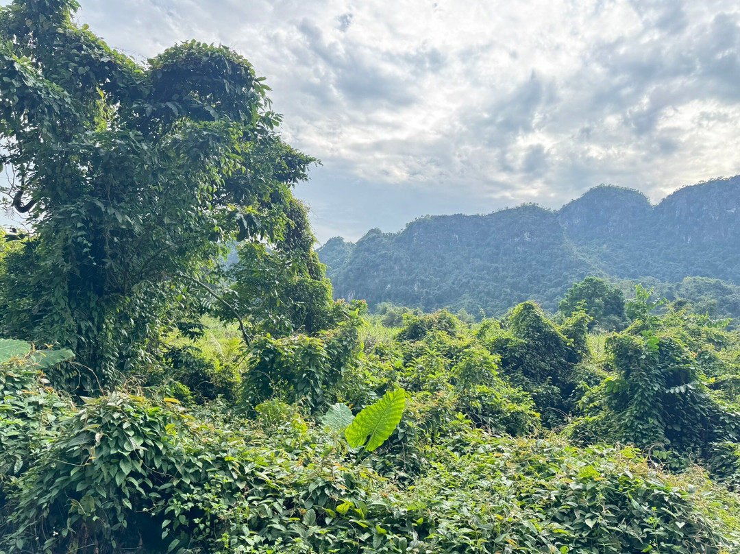 Serenity Cruises-河内必去景点