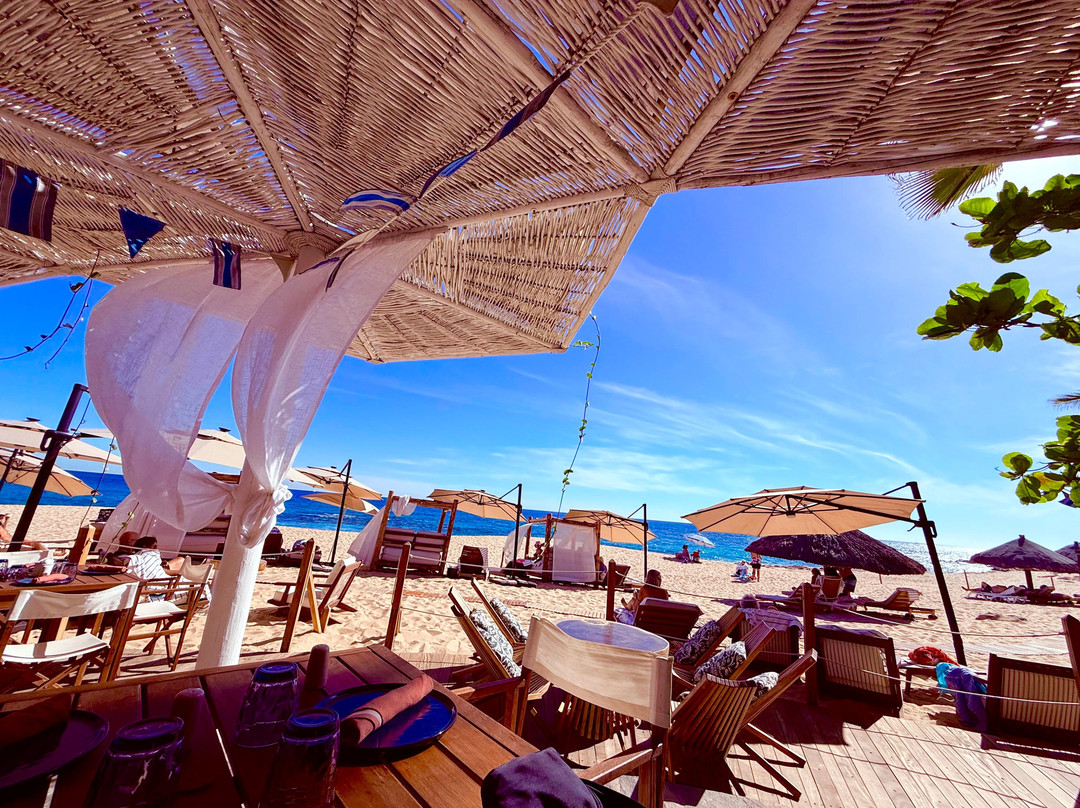 Tortuga At Hacienda Del Mar