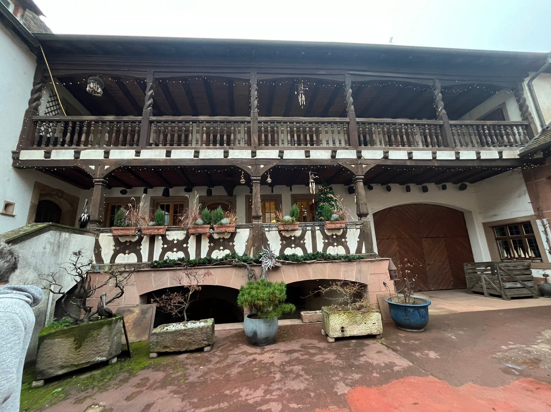 Domaine Albert Seltz-米特贝汉必去景点