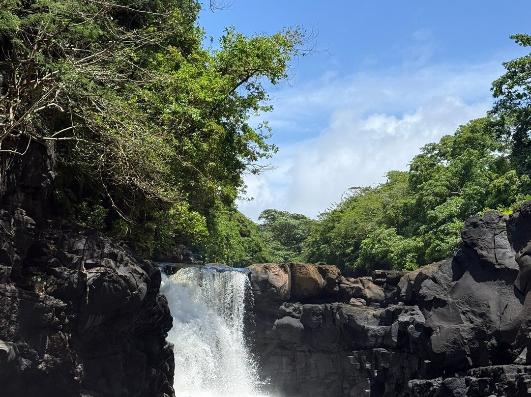 Croisières Australes-大湾必去景点