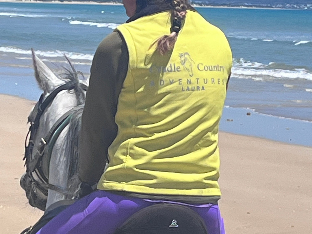 Cradle Country Adventures-摇篮山圣克莱尔湖国家公园必去景点