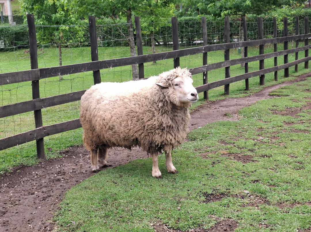 Parque da Lagoinha-坎普斯－杜若尔当必去景点