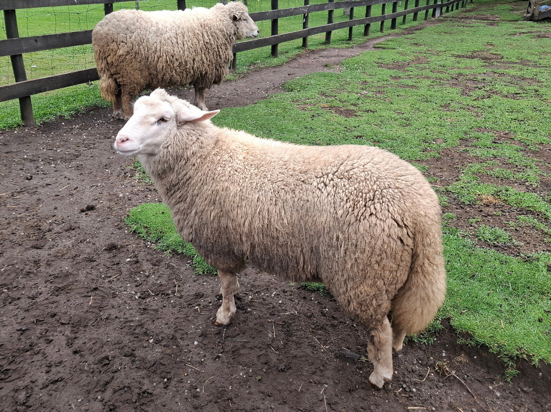 Parque da Lagoinha-坎普斯－杜若尔当必去景点