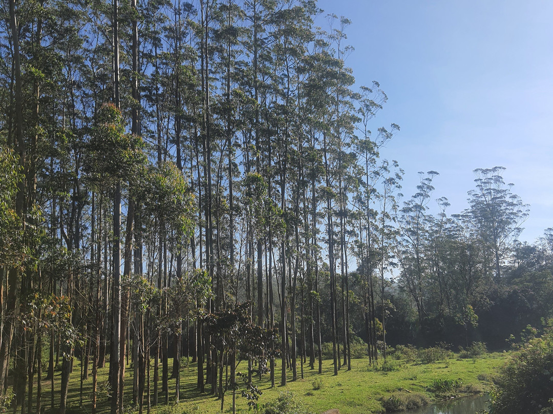 Green Hope Tourism-柯钦必去景点