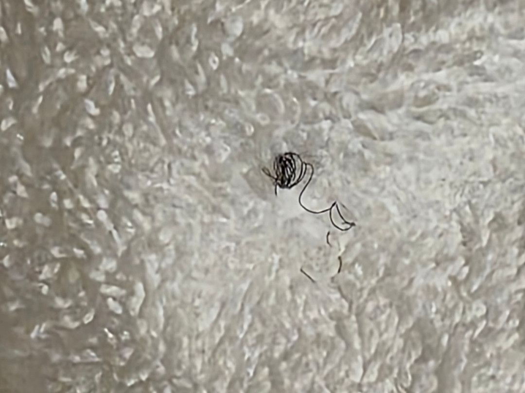 Everspring Inn主图