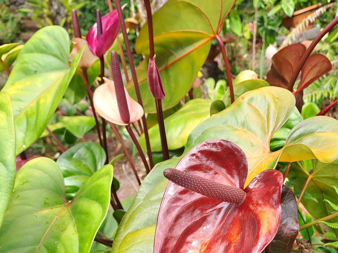 Maison Folio-埃勒堡必去景点