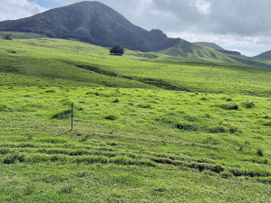 Na'alapa Stables - Kahua Ranch-卡慕也拉必去景点