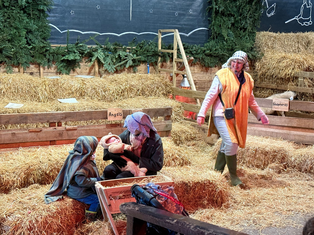 Pennywell Farm-Buckfastleigh必去景点