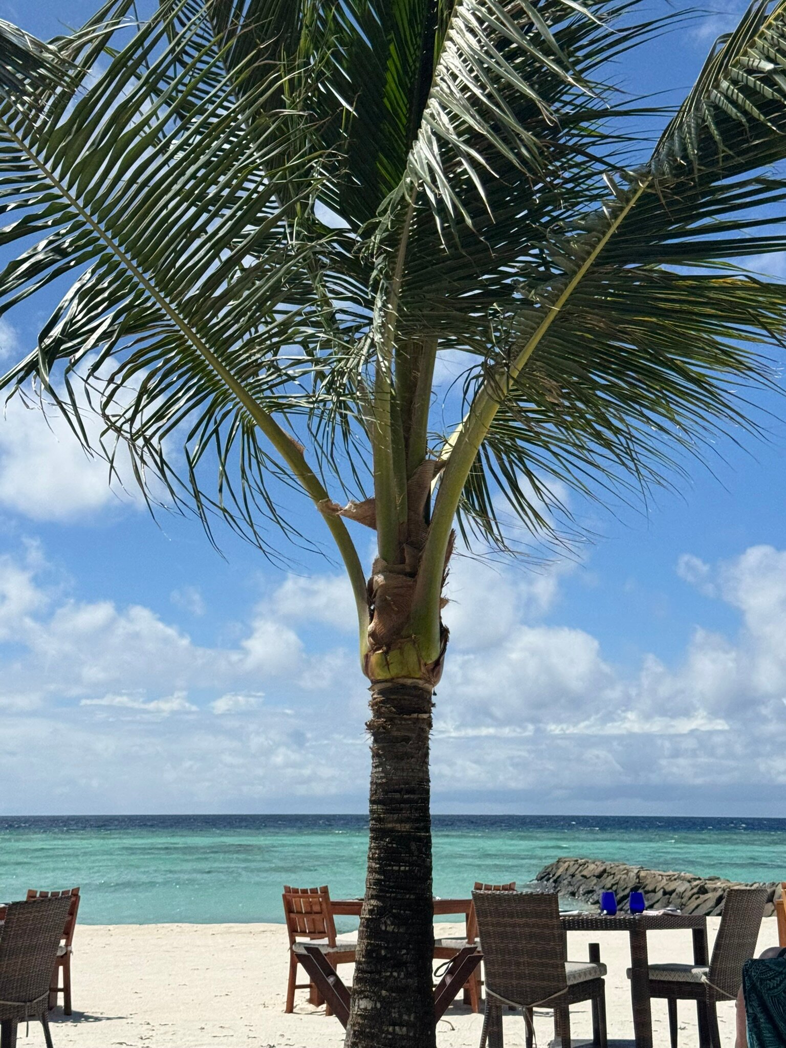 马尔代夫瑞僖敦度假村-官方