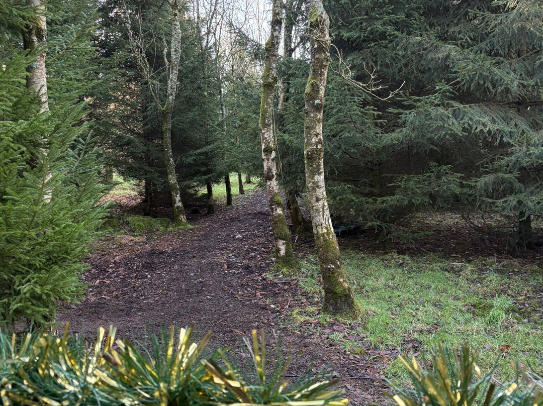 Woodland Experiences Limited-Balfron必去景点