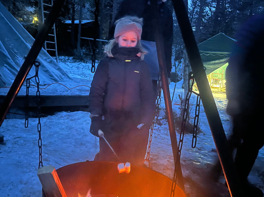 Trysil Husky-Torberget必去景点