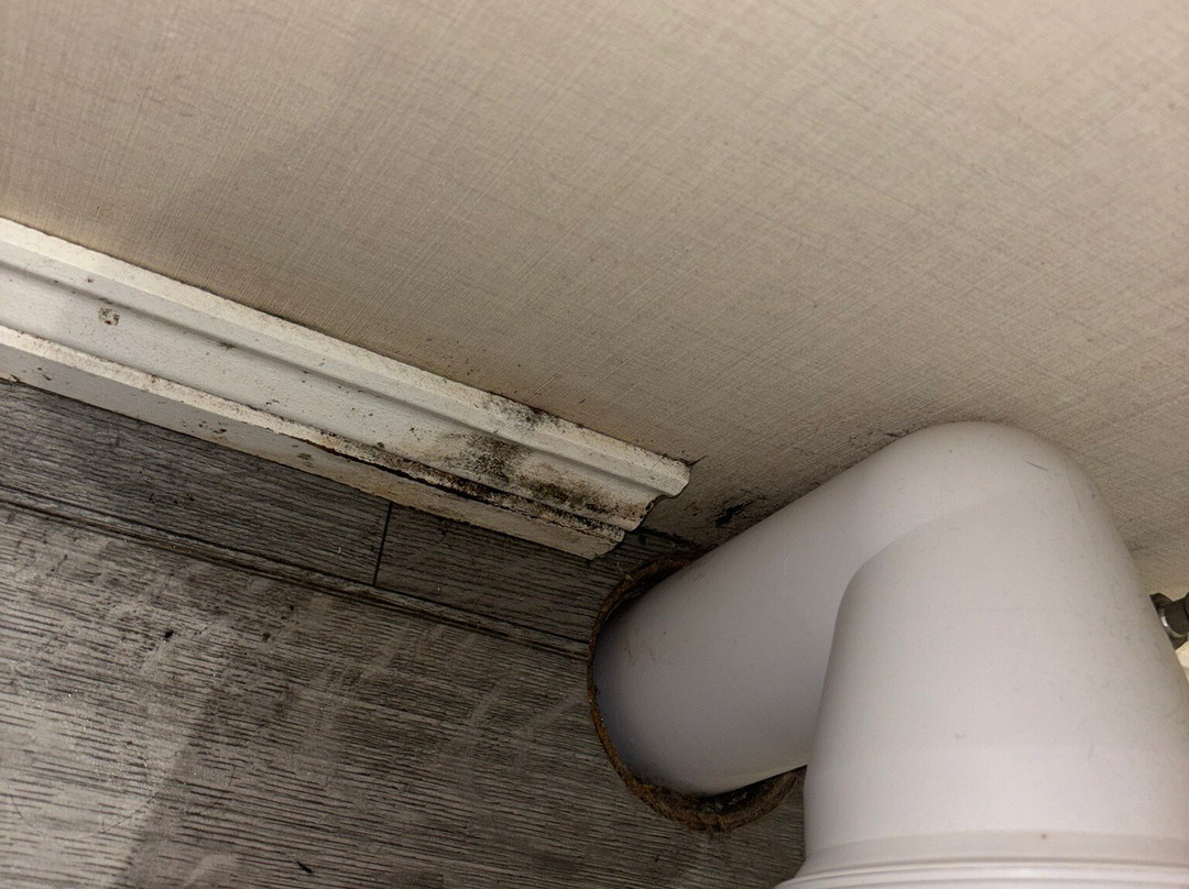 Arran Hills Pods主图