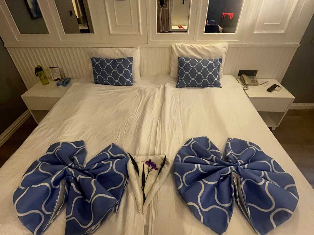 Gypsophila Club Marine主图