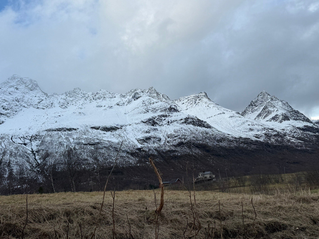 Northern Light Dog Adventure-Nordkjosbotn必去景点