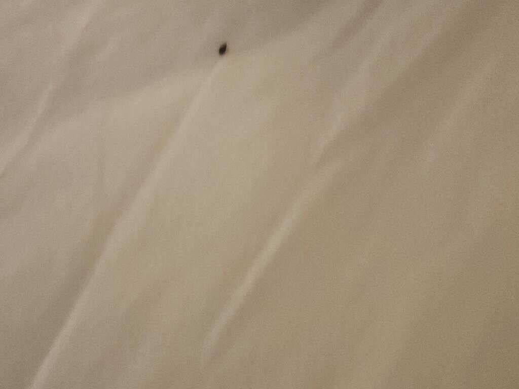 Country Inn & Suites by Radisson, Salisbury, MD-客卧