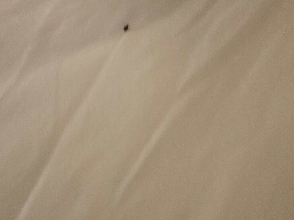 Country Inn & Suites by Radisson, Salisbury, MD主图