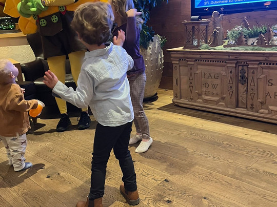 Hotel Dreisonnen主图