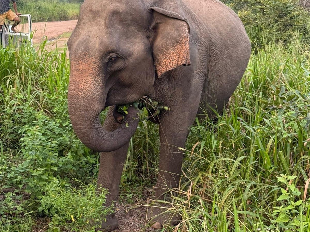 Tour Buddy-卡图纳耶克必去景点