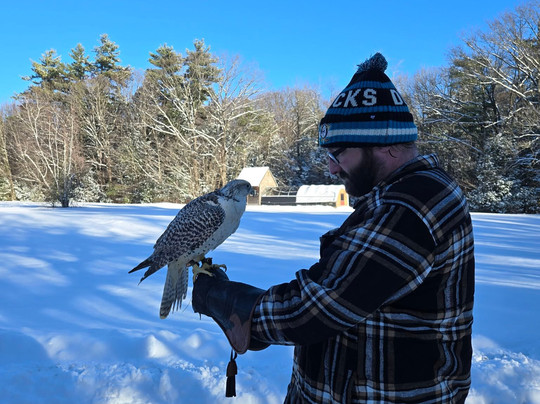 Monadnock Falconry-Temple必去景点